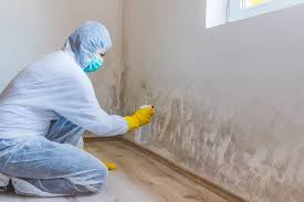 Professional Mold Removal & Remediation in Lemmon, SD