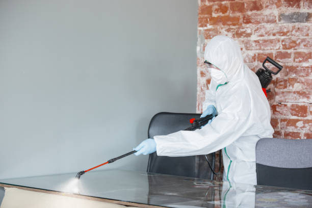 Mold Remediation for Vacation Homes in Lemmon, SD