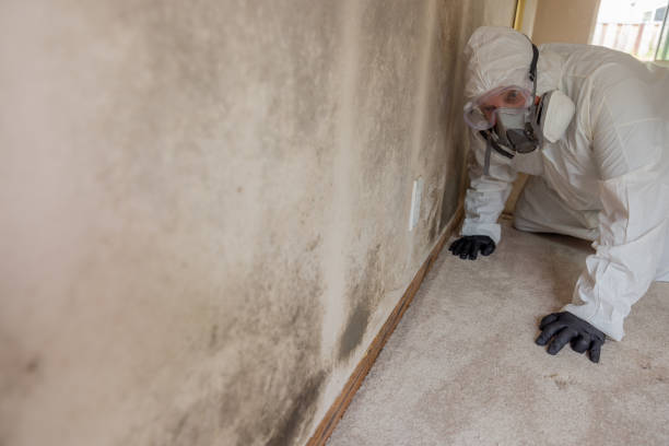 Best Asbestos and Lead Testing During Mold Inspection  in Lemmon, SD